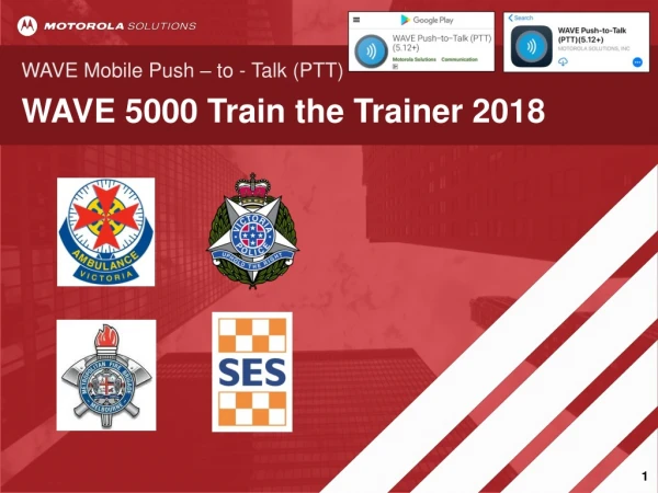 WAVE 5000 Train the Trainer 2018
