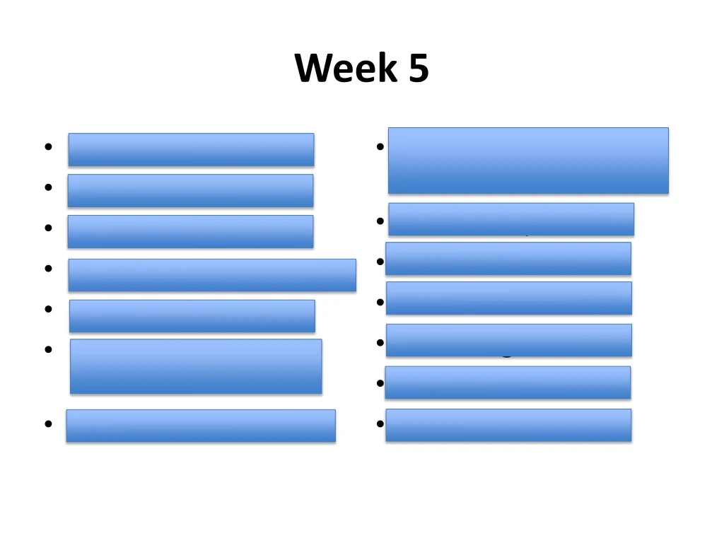 week 5