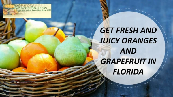 Get fresh and juicy oranges and grapefruit in Florida