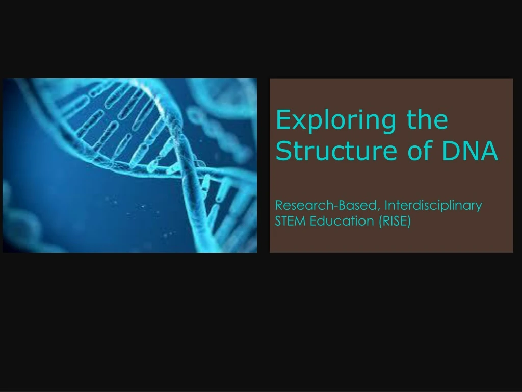 exploring the structure of dna research based interdisciplinary stem education rise