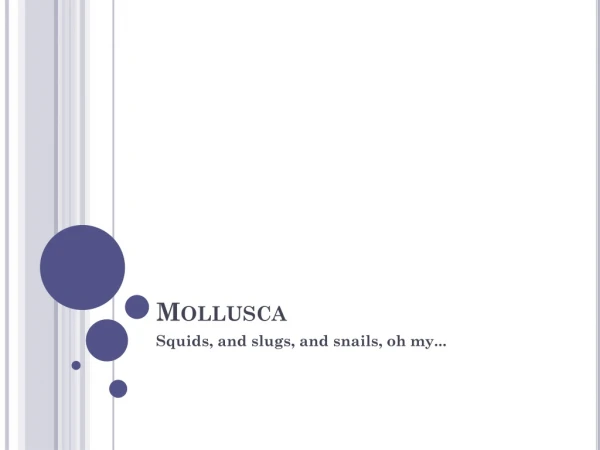 Mollusca