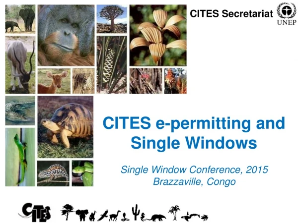 CITES e-permitting and Single Windows Single Window Conference, 2015 Brazzaville, Congo