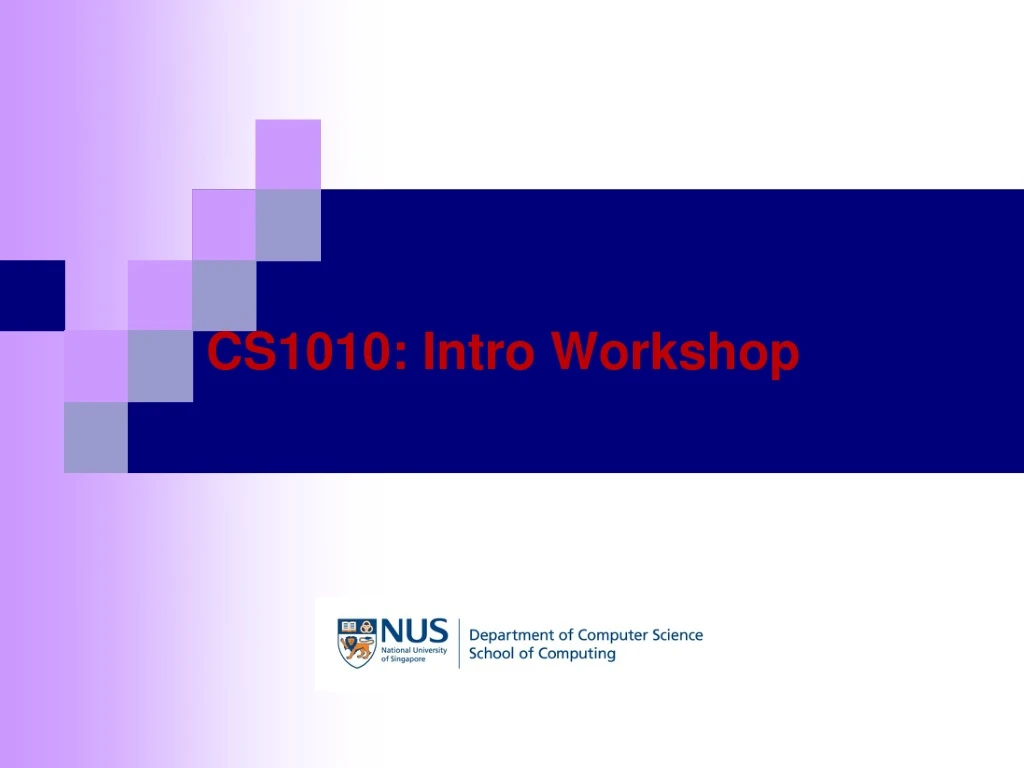 cs1010 intro workshop