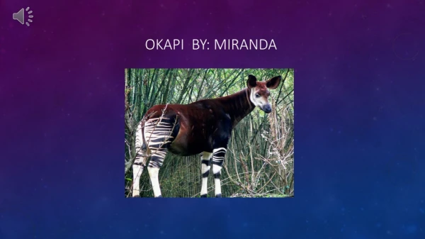 Okapi By: Miranda