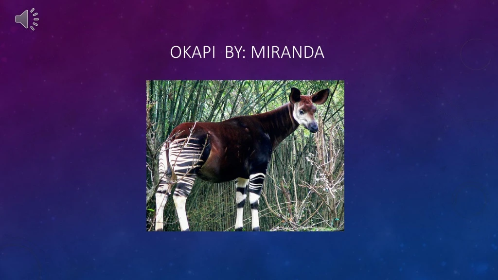 okapi by miranda