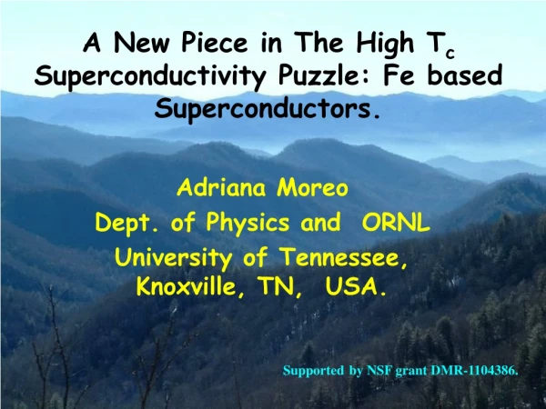 A New Piece in The High T c Superconductivity Puzzle: Fe based Superconductors.