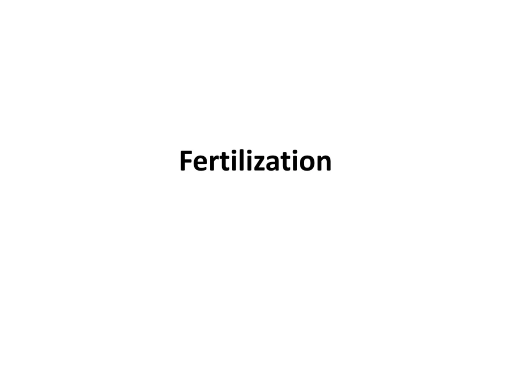 fertilization