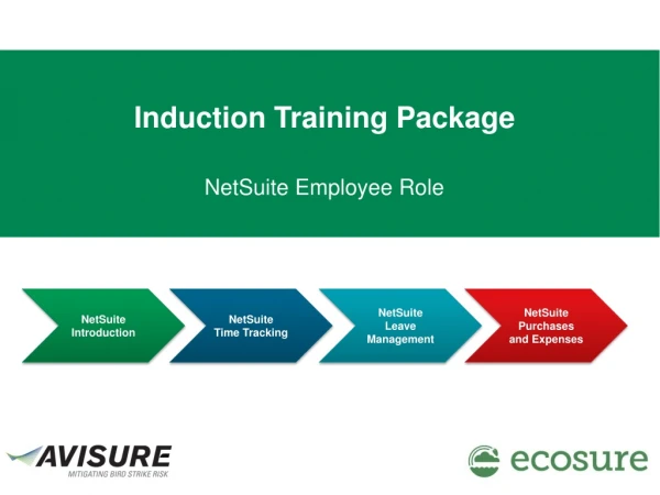 NetSuite Employee Role