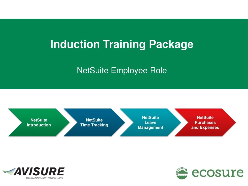 netsuite employee role