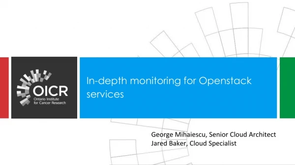 In-depth monitoring for Openstack services