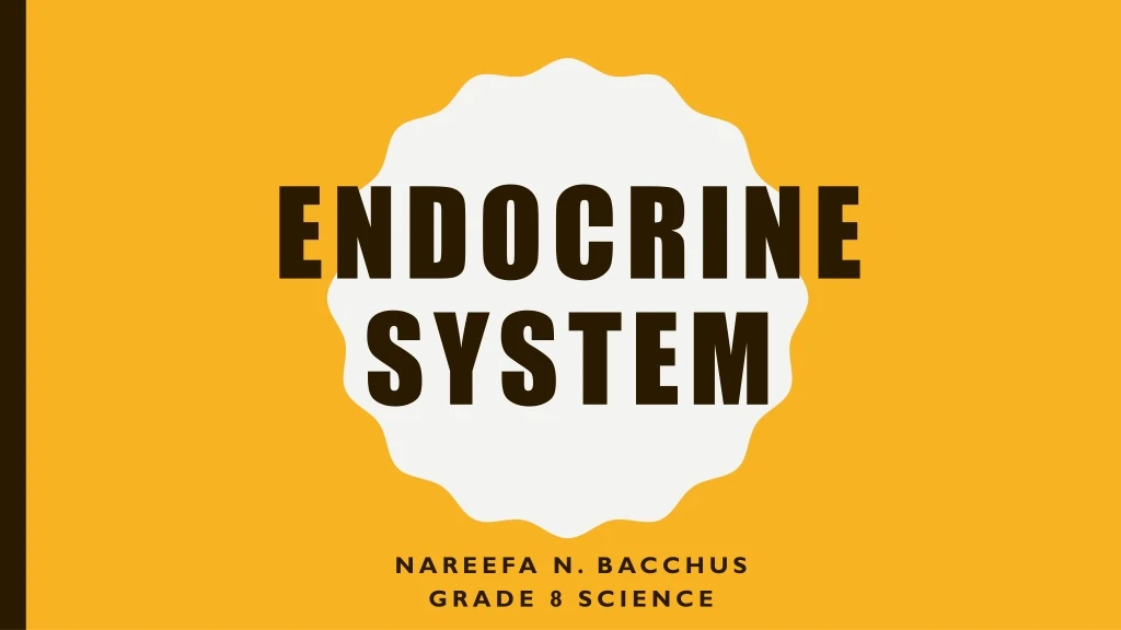 endocrine system