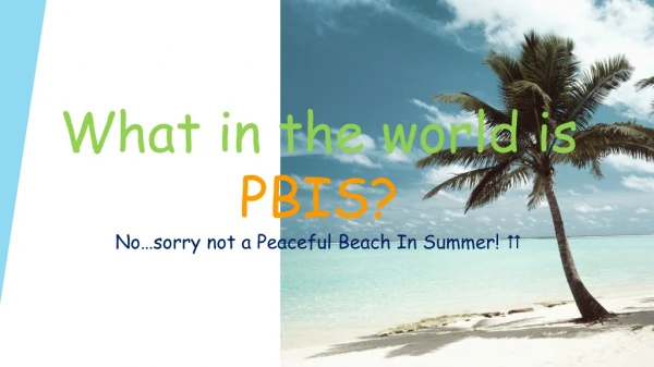 What in the world is PBIS? No…sorry not a Peaceful Beach In Summer! 