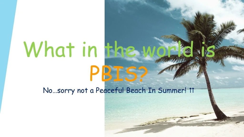 what in the world is pbis no sorry not a peaceful beach in summer