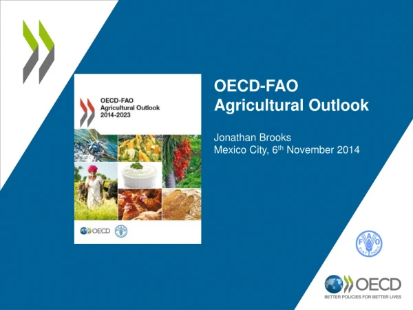 OECD-FAO Agricultural Outlook Jonathan Brooks Mexico City, 6 th November 2014