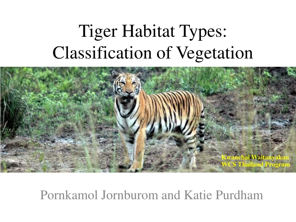 tiger habitat types classification of vegetation