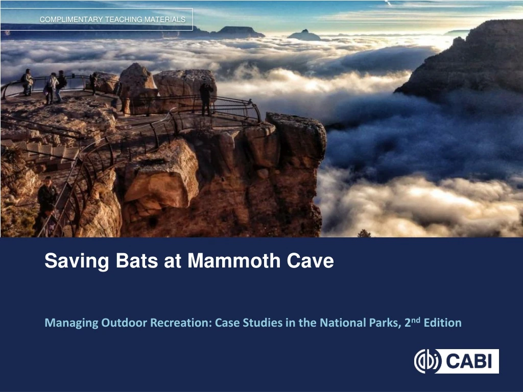 saving bats at mammoth cave