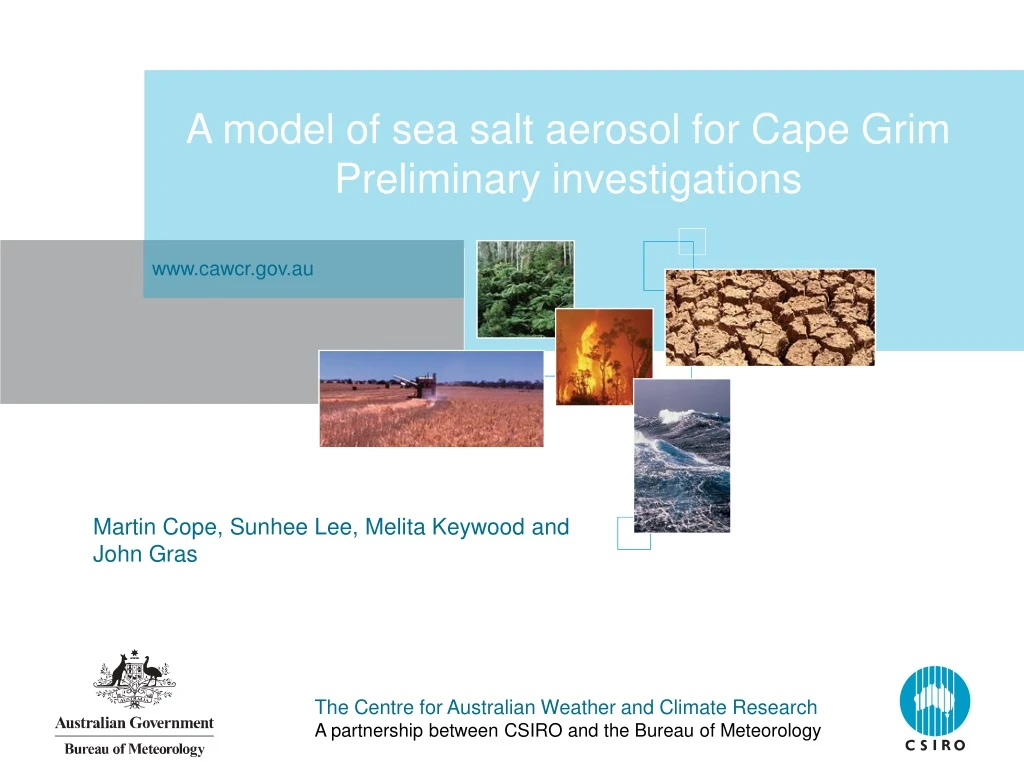 a model of sea salt aerosol for cape grim preliminary investigations