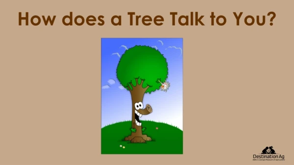 How does a Tree Talk to You ?
