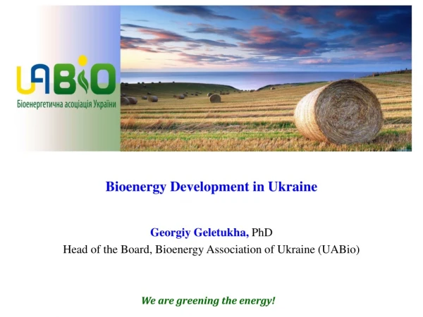 Bioenergy Development in Ukraine