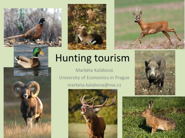 Hunting tourism