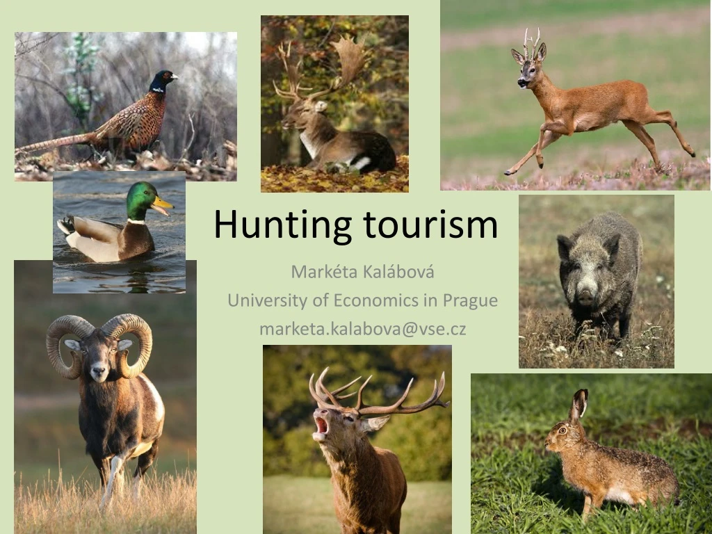 hunting tourism