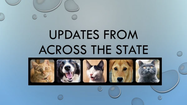 Updates from across the state