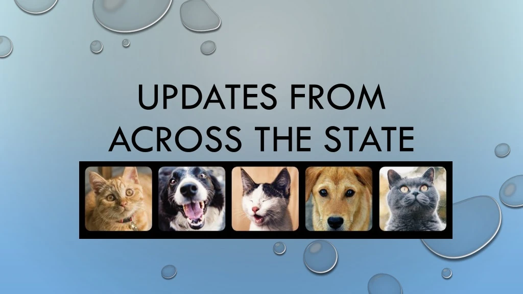 updates from across the state