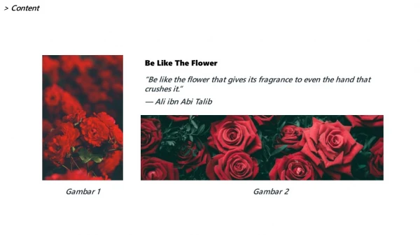 Be Like The Flower