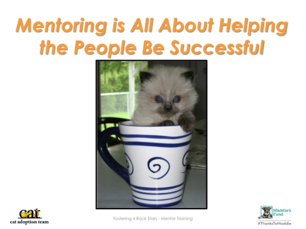 Mentoring is All About Helping the People Be Successful