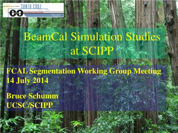 BeamCal Simulation Studies at SCIPP