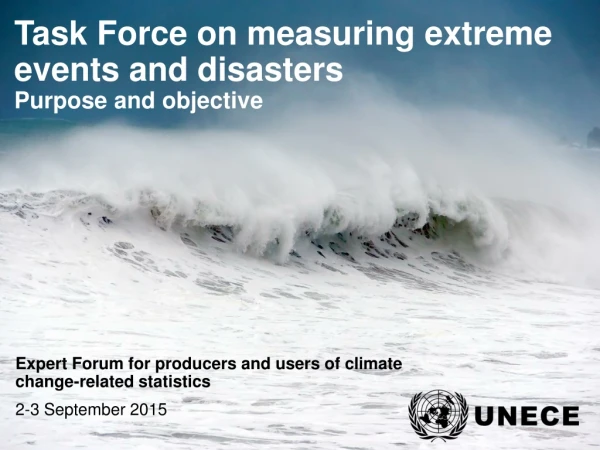 Task Force on measuring extreme events and disasters Purpose and objective