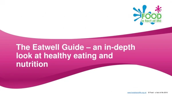 The Eatwell Guide – an in-depth look at healthy eating and nutrition
