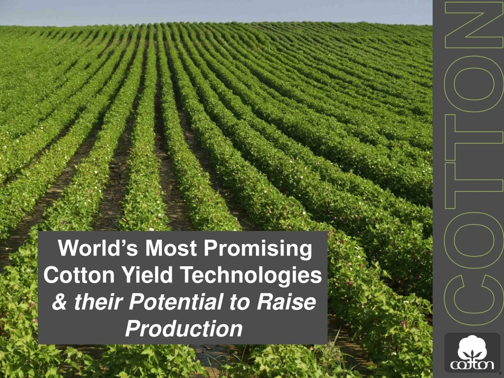 world s most promising cotton yield technologies their potential to raise production