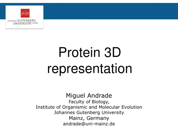 Protein 3D representation