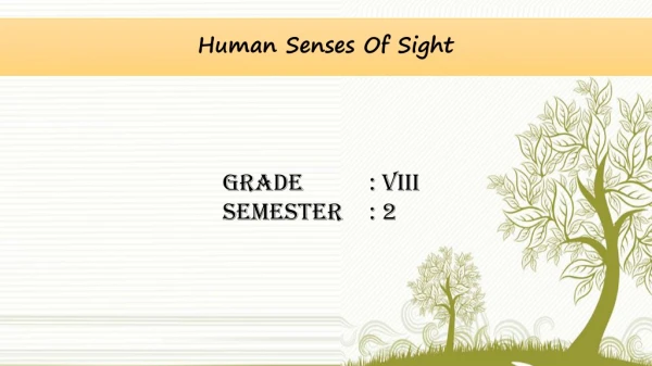 Human Senses Of Sight