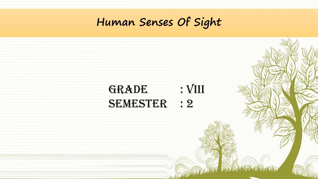 human senses of sight