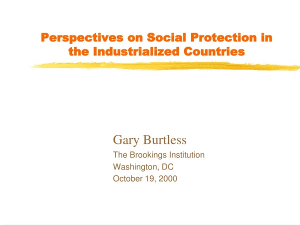 Perspectives on Social Protection in the Industrialized Countries