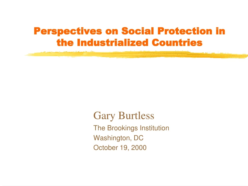 perspectives on social protection in the industrialized countries