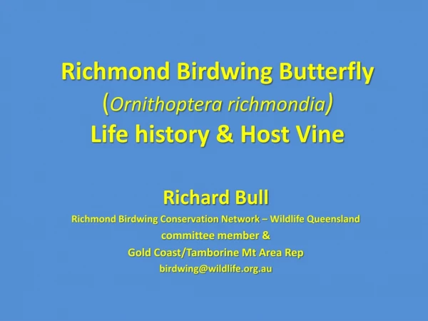 Richmond Birdwing Butterfly ( Ornithoptera richmondia ) Life history &amp; Host Vine