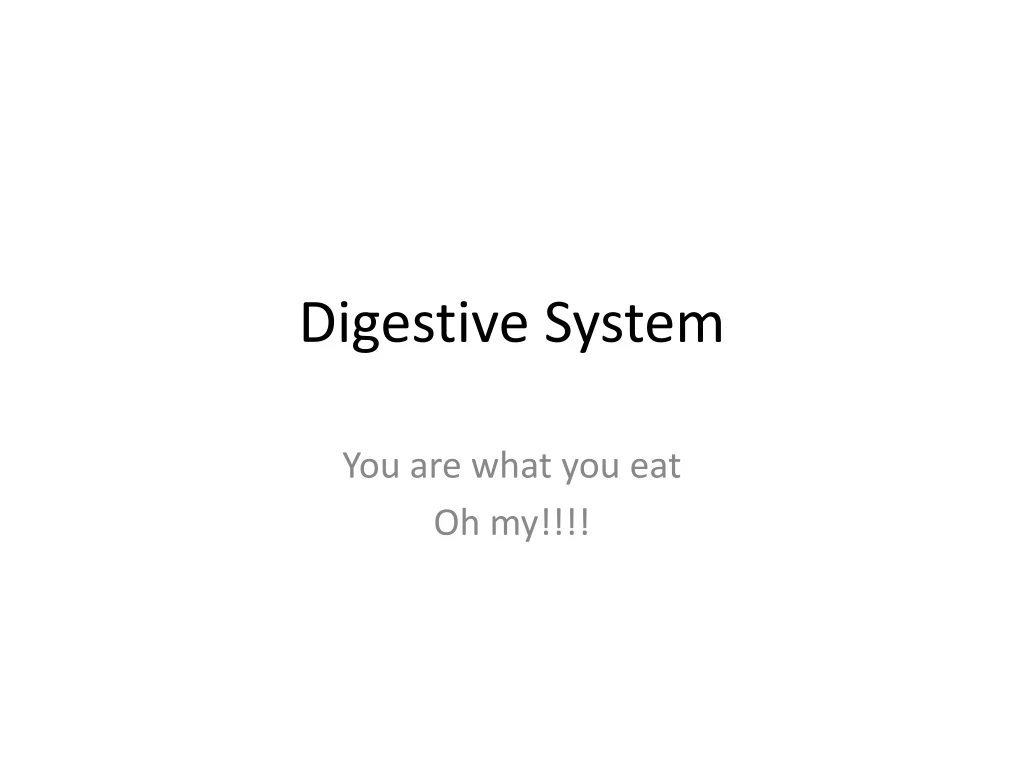 digestive system