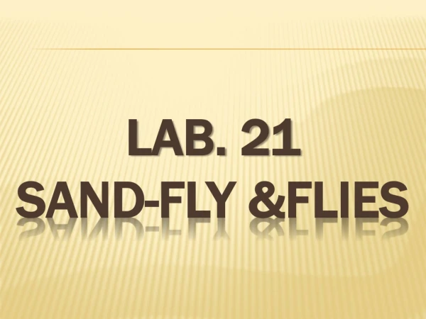 Lab. 21 Sand-fly &amp;Flies