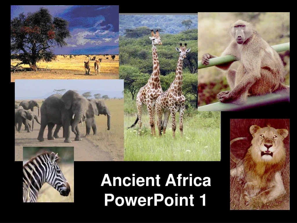 ancient africa powerpoint 1