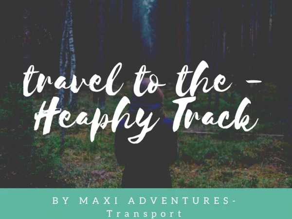 Best Transport And Adventures on Heaphy Track