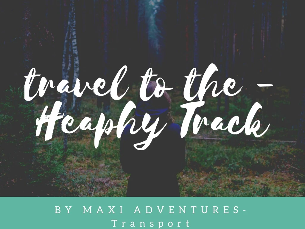 travel to the heaphy track