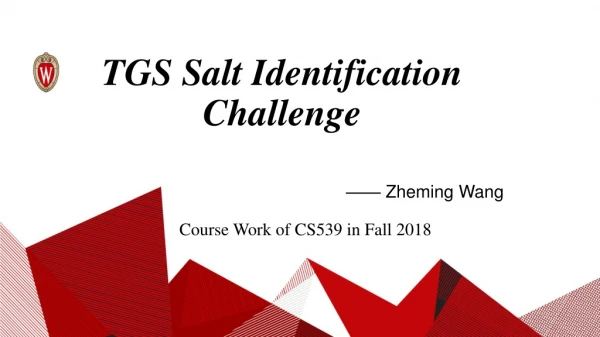 T GS Salt Identification Challenge