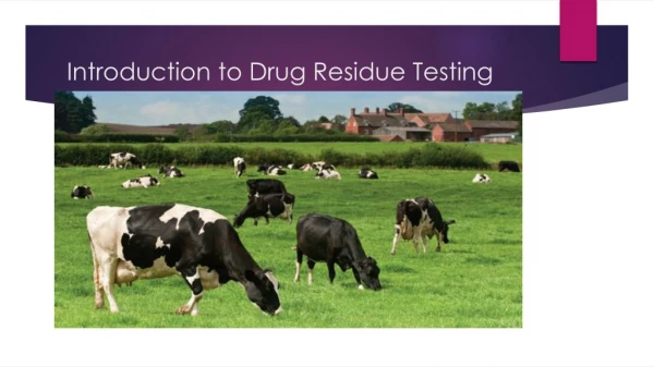 Introduction to Drug Residue Testing