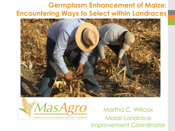 Germplasm Enhancement of Maize: Encountering Ways to Select within Landraces