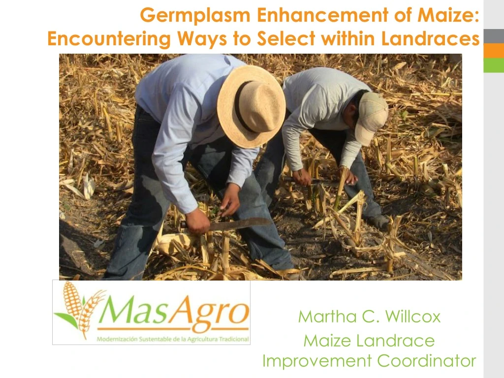 germplasm enhancement of maize encountering ways to select within landraces