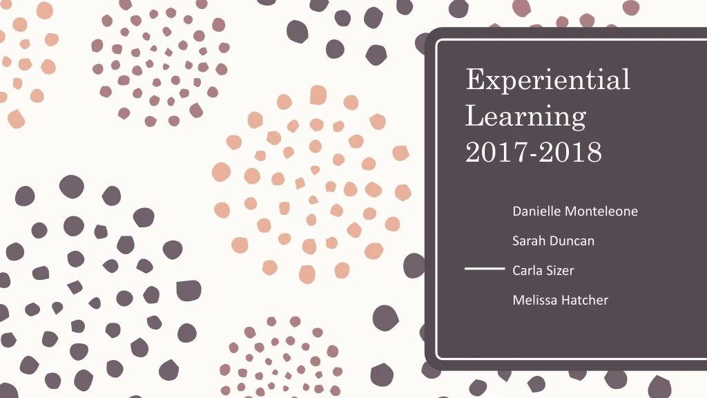 experiential learning 2017 2018