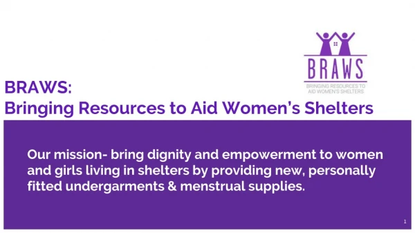 BRAWS: Bringing Resources to Aid Women’s Shelters